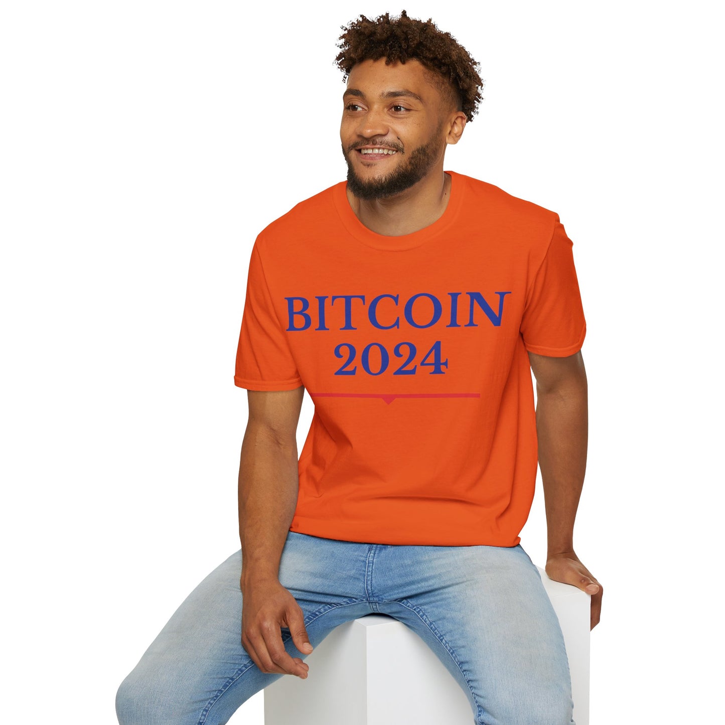 Bitcoins 2024